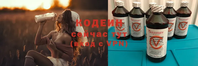 kraken ссылки  Каменск-Шахтинский  Кодеин Purple Drank  цены наркотик 